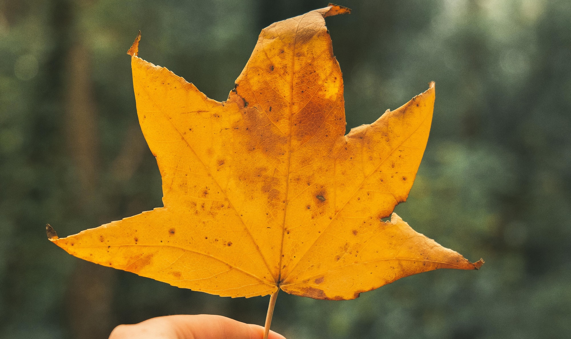 What do I want in life? 😇|My logical reasoning