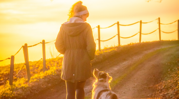 A Happy Dog in Cancer Hospital
